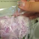 연보라(주) 이미지