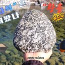 내린천의 봄 이미지