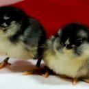 아성슈퍼 이미지