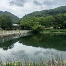 문수산캠핑장 | 용인 캠핑장 문수산캠핑장 소고기와 사케로 즐거웠던 봄 캠핑