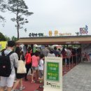 올리비아하슬러부산 | 제3회 순천만세계동물영화제, 올리비아하슬러가 함께 했어요!