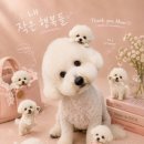 넘버원트리머 네이버블로그