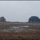 오들길 Daum카페