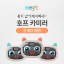 핑크호프