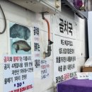 대표곰치탕대구탕 이미지