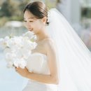 세컨트리 이미지