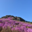 대금산진달래길(트레킹) 이미지