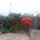 남도빌딩 이미지