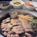흥마농장 네이버블로그