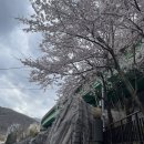 정선사북시장 이미지