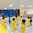 늘푸른효태권도장 이미지