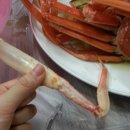 양희회식당 이미지