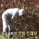 진일기획 이미지