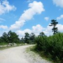 건지목장 이미지