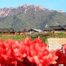 달빛한옥 이미지