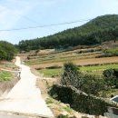 완도군노화읍동부보건진료소 | (매매완료됨)전남 완도군 노화읍 구석리(노화도 동부교회와 동부보건진료소건너편)임야 농림지역 22,017...