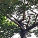 동막민박 | 아이와 함께 한 동막해수욕장, 갯벌 체험으로 웃음꽃-취사 가능한 해수욕장