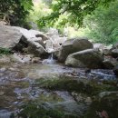 조이토마토 이미지