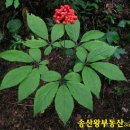 땅콩부동산공인중개사사무소 이미지