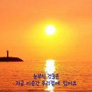 연신유도체육관 이미지