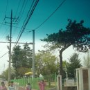 서수초등학교 이미지