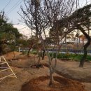 서부농장 이미지