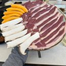 합천천로 이미지