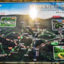 조계산다원