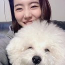 써니펫 이미지