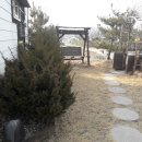 중앙탑면사무소 이미지