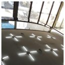 키다리광택 이미지