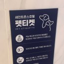 독독 이미지