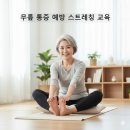 디지털교육 강사 특강(시니어 학습자 대상의 강의 노하우) | 은퇴 후 시니어 요가 강사 창업하기: 무릎 통증 예방 스트레칭 교육의 모든 것