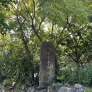 초록슈피아 캠핑장 이미지