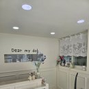 디어마이독 이미지