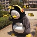 뷰티아일랜드삼화