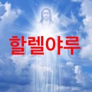 도망칠때마다 파라다이스던데 어떻게설명할거냐고