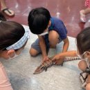 화천교육도서관 이미지