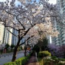 어의정로 이미지