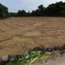 성산읍-2 이미지