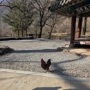 코노King코인노래연습장 이미지