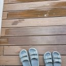 제주하뭄 이미지