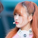 나윤