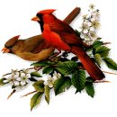 🌺♬ 고대원 옛 노래 모음 -1- ♬🌺 이미지