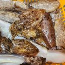 신안우럭 이미지