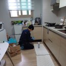 해충더클린