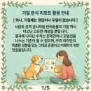 윤선생 애견훈련소 | 강아지 분리불안 교육 [프래들 애견학교] 멍BTI 체험후기