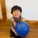 참사랑유치원 | 당리동유치원 호돌유치원의 셀렘 가득한 3월 새학기 이야기