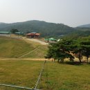 칠곡양떼목장 이미지