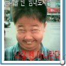 다파요몰